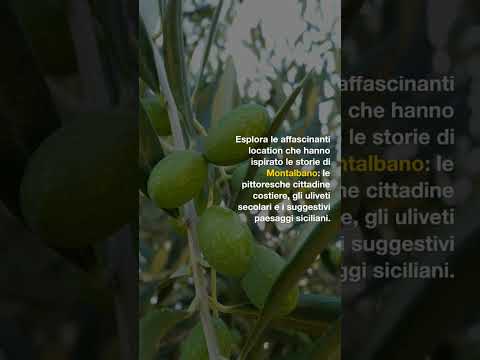 Video: Lezioni da 