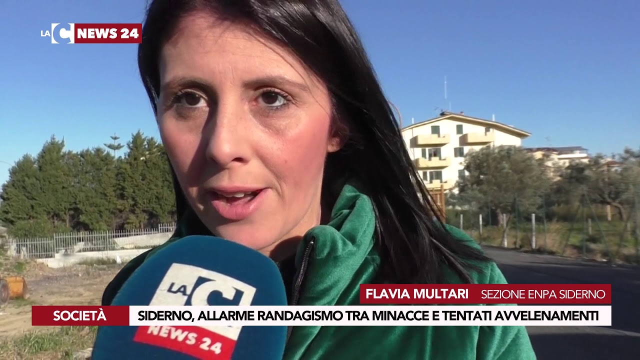 notizie del giorno SIDERNO, ALLARME RANDAGISMO TRA MINACCE E TENTATI AVVELENAMENTI