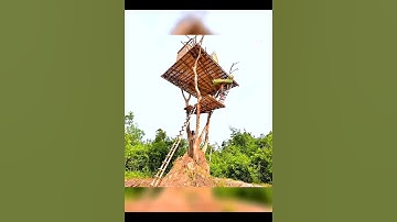 Smazing tree house #survival #bushcraft