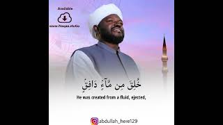 Download Lagu Sheikh Noreen Muhammad Siddique Quran Recitation MP3