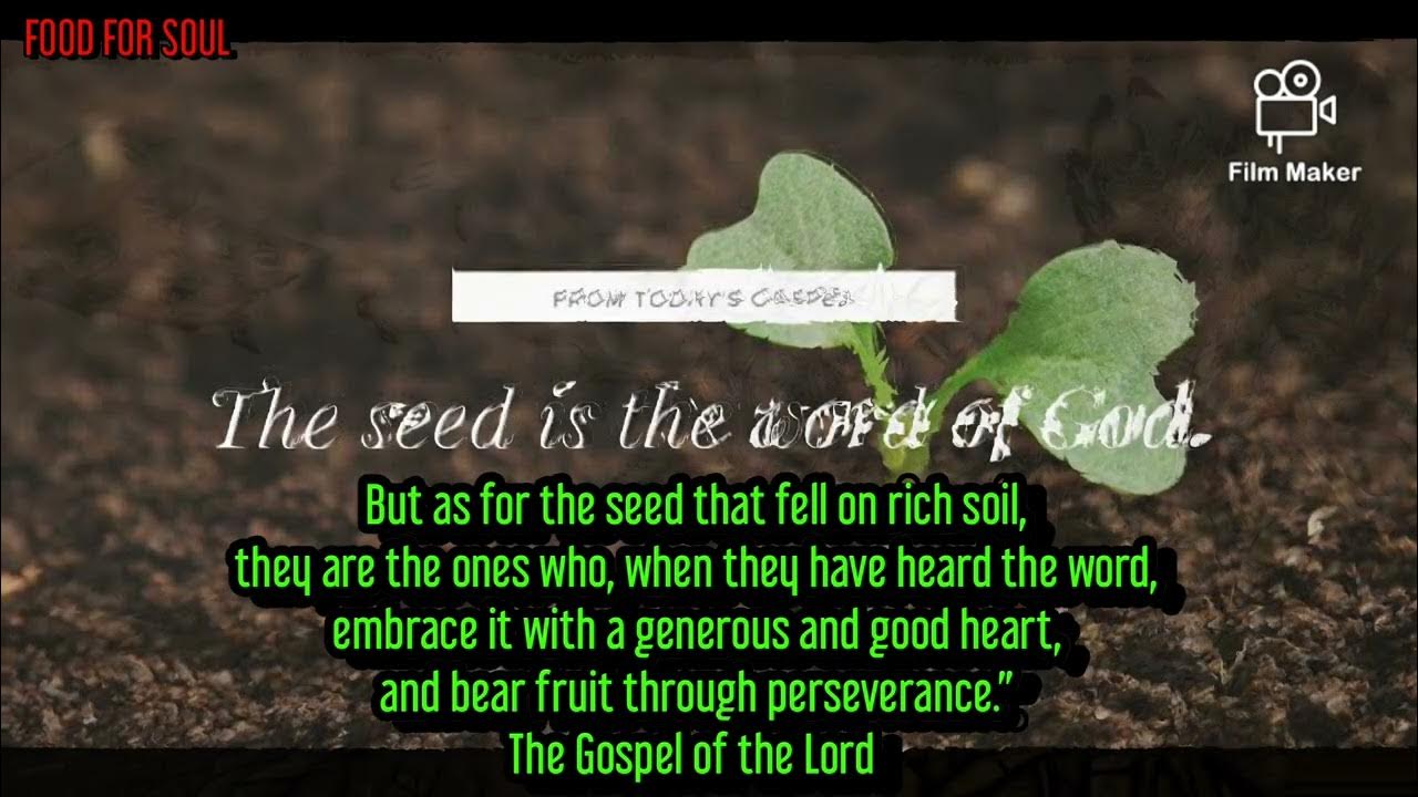 they-tried-to-bury-me-but-they-didn-t-know-i-was-a-seed-i-ll-always