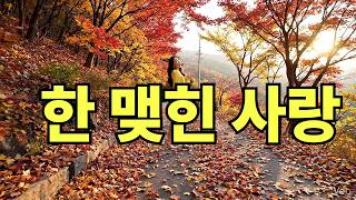 반짝 트로트한 맺힌 사랑… 끝내 못 보낸 그 사람 (트로트 모음집)