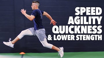 Baseball Speed, Agility, Quickness and Lower Body Strength Workout [PHASE 1]