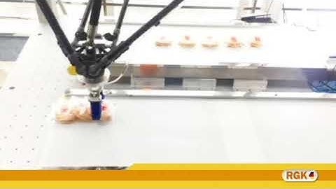 RGK/URA V.S Delta Robot RSG pneumatic soft gripper Crackers clip applications R17078