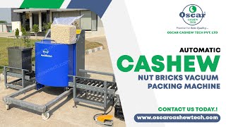 Cashew Nut Bricks Vacuum Packing Machine, Automatic Vacuum Packing Machine Manufacturers
