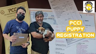 HOW TO REGISTER PUPPY PCCI ONLINE LITTER REGISTRATION PROCESS by Mello Muñoz 1,413 views 1 year ago 8 minutes, 31 seconds