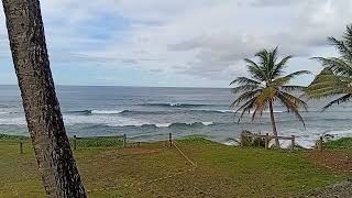 Anse Charpentier 22 avril 2026