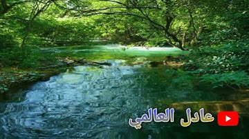 ما تيسر من سورة هود الشيخ عبد الحميد إرشادحفظه الله تعالى رمضان 1443/2022 ليلة ابدع فيها الشيخ
