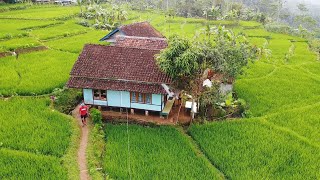 SUMPAH INDAH! Pemandangan Alam Tasikmalaya, Suasana Pedesaan Jawa Barat, Beautiful Village Atmosfer