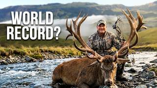 New Zealand Stag Hunt - Live the Wild Life [Episode 1]