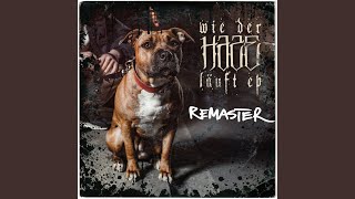 Filas & Shox - Haze