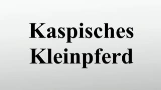 Kaspisches Kleinpferd