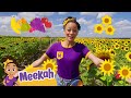 Meekah explores a fruit and sunflower farm  blippi and meekah  educationals for kids