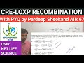 CRE-LOXP RECOMBINATION || CSIR NET || MOLECULAR BIOLOGY || CSIR SOLVED QUESTIONS