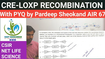 CRE-LOXP RECOMBINATION || CSIR NET || MOLECULAR BIOLOGY || CSIR SOLVED QUESTIONS