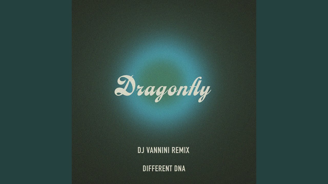 Dragonfly (DJ Vannini Remix Extended Version)