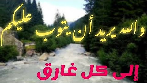 تلاوة خاشعة (والله يريد أن يتوب عليكم)|| القارئ عمر عصام 💛💛