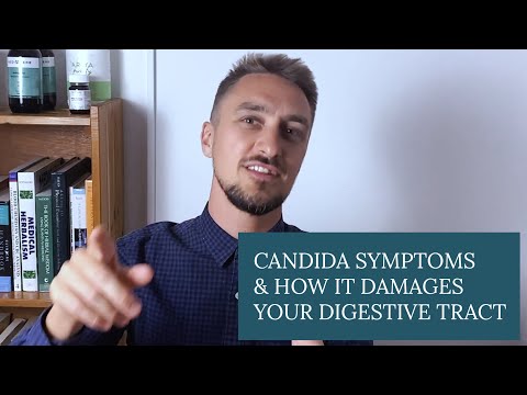 Video: Candida Die-Off Begrijpen: Oorzaken, Diagnose, Behandeling En Meer