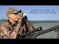 The Basics of a Coyote Stand