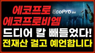 🔵에코프로/비엠 - 대통령이 판 다 깔아줬다! 