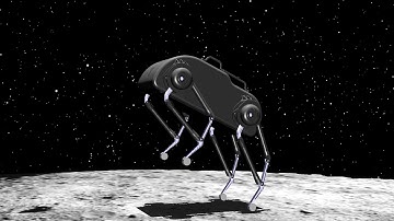 Cat-like Jumping and Landing of Legged Robots in Low-gravity