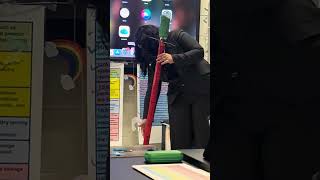 Science Academy senior year EDD project 2026 4