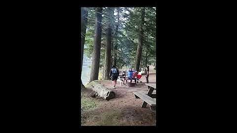 WebM version of Reel