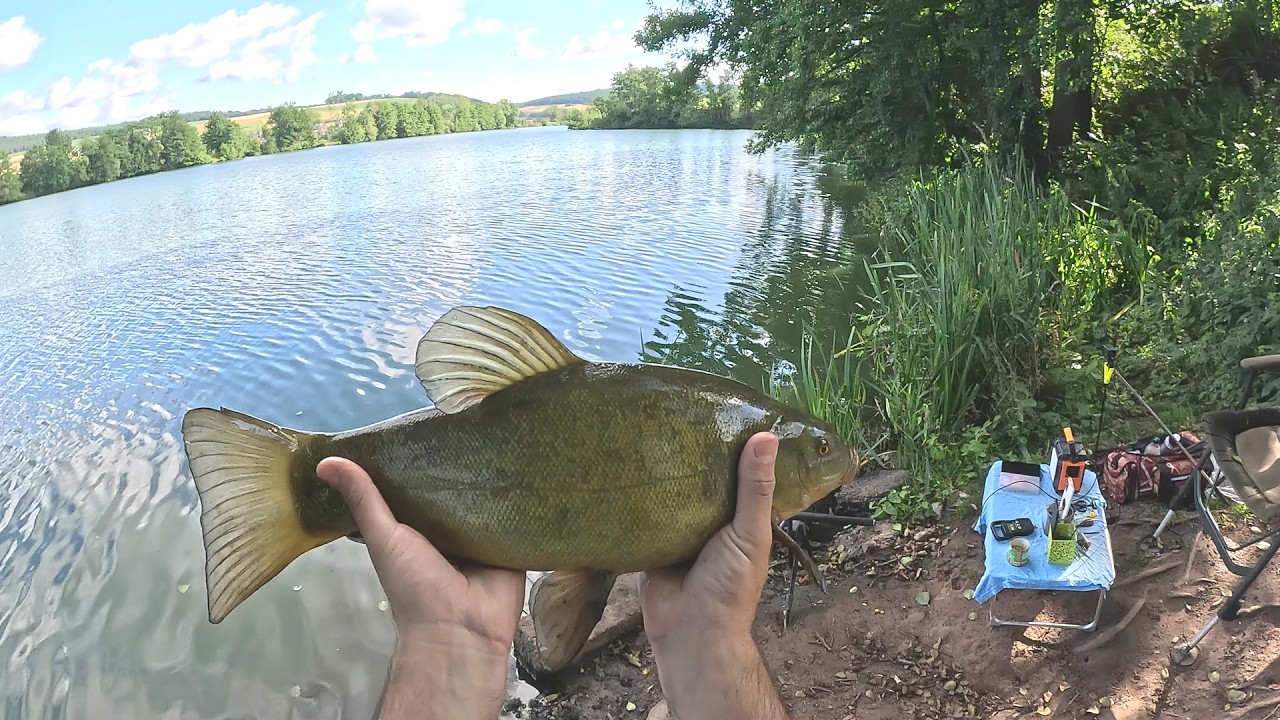 Pripreme za pecanje Linjaka