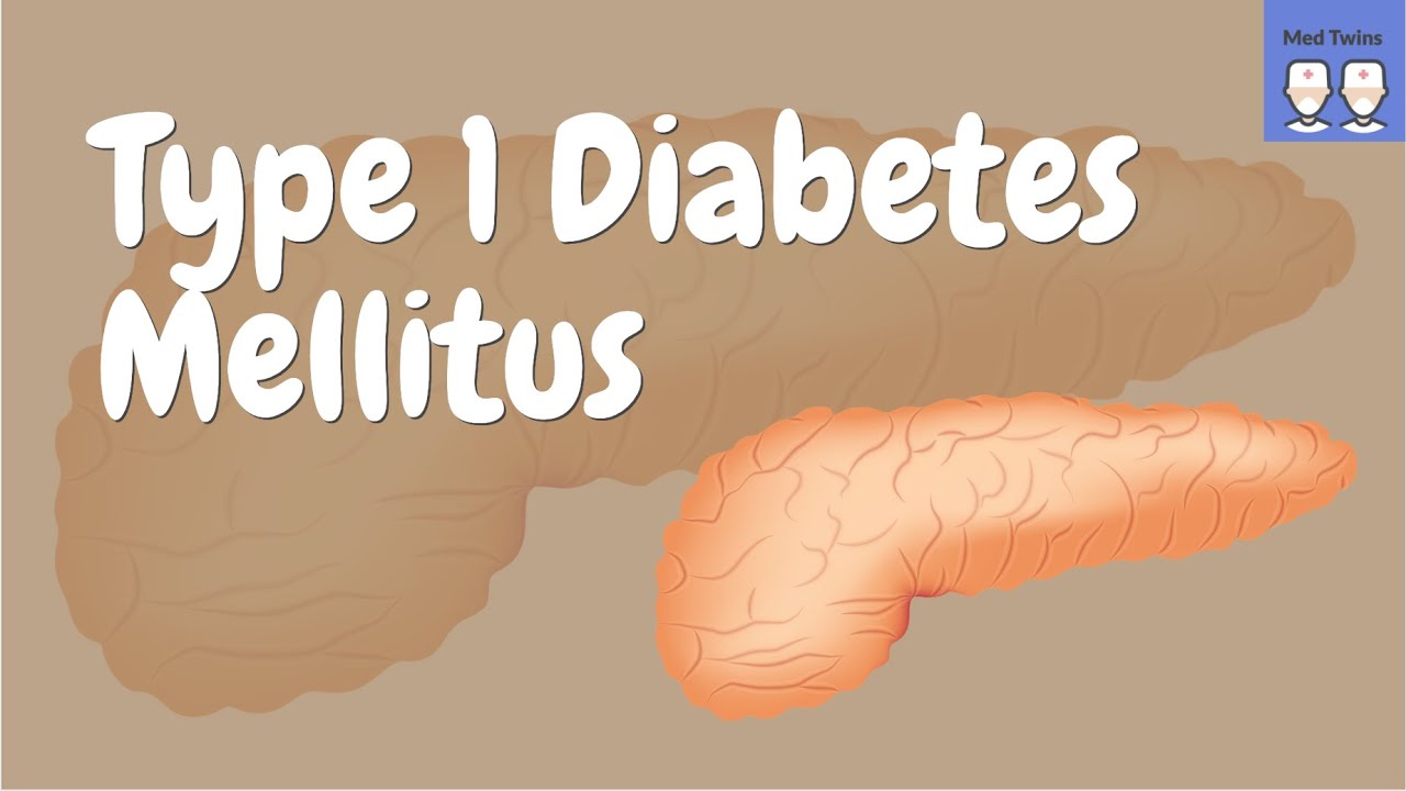 Type 1 Diabetes Mellitus [Pathophysiology, Insulin production and secretion]