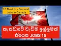 කැනඩාවේ වැඩිම ඉල්ලුමක් තියෙන Jobs 15 | 15 Most In Demand Jobs in Canada