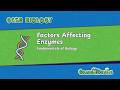 GCSE Biology | Factors Affecting Enzymes | Explained + Work Examples