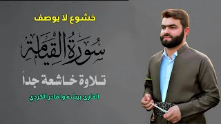 خشوع لا يوصف | سورة القيامة كاملة للقارئ بيشه قادر الكردي | Peshawa Qadr Al-Kurdi | Surah Al-Qiyamah