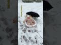 September baby experiences the joy of snow for the first time#humancub#cutewa#snowshoeing