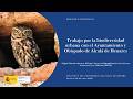 15 Trabajo por la biodiversidad urbana con el Ayuntamiento y Obispado de Alcalá de Henares