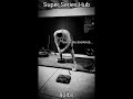 80lb Ironmind Hub Lift - Conventional Grip - Build Brutal Grip Strength &amp; Huge Forearms