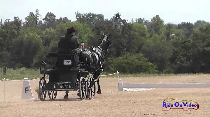 22D Alyson Harris Preliminary Single Horse Dressag...