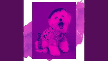 Pulsating Backdrops for Quiet Dog Parks