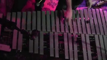 The Mercury Program on August 14, 2015 at New World Brewery, Tampa, FL