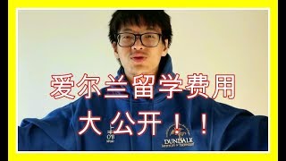 【愛爾蘭生活費】愛爾蘭的菜多少錢啊？？【愛爾蘭留學必看！！】