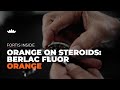 Fortis Inside | Berlac Fluor Orange