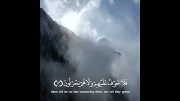 حالات واتس اب قران ♥️🖇️ حالات واتس قرأن  تلاوة خاشعة  Quran Status🖇♥ اية قرانية قصيره🎧❤️