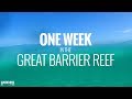 Great Barrier Reef: 1 Week of Scuba Diving and Snorkeling in 4K