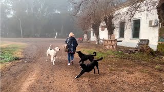 Apostaron todo!! Esta familia vive en un Viejo Almacén del 1900 en el  solitario Paraje Pablo Acosta 