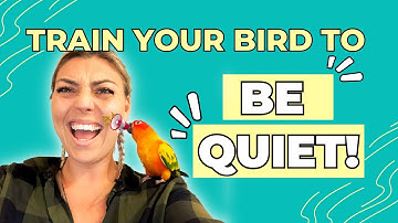 How to get your Sun Conure to BE QUIET!