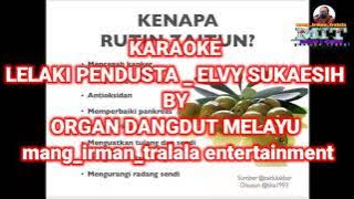 KARAOKE lelaki pendusta _ elvy sukaesih orkes dangdut melayu kenangan jaman dulu