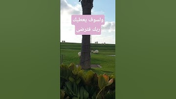 آيات بينات من القرآن الكريم، سورة الضحى #اكسبلور #الرحمن #بدر_المشاري
