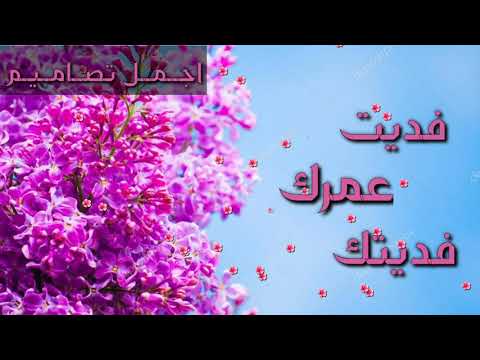 حاله واتس اب قصيره فديت عمرك فديتك بدون ايقاع رائعه
