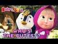 Masha and the Bear 😊 WHO'S THE CUTEST? 🐼 Best episodes collection 🎬 Cartoons for kids