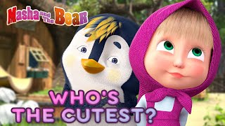 masha and the bear whos the cutest best episodes collection cartoons for kids