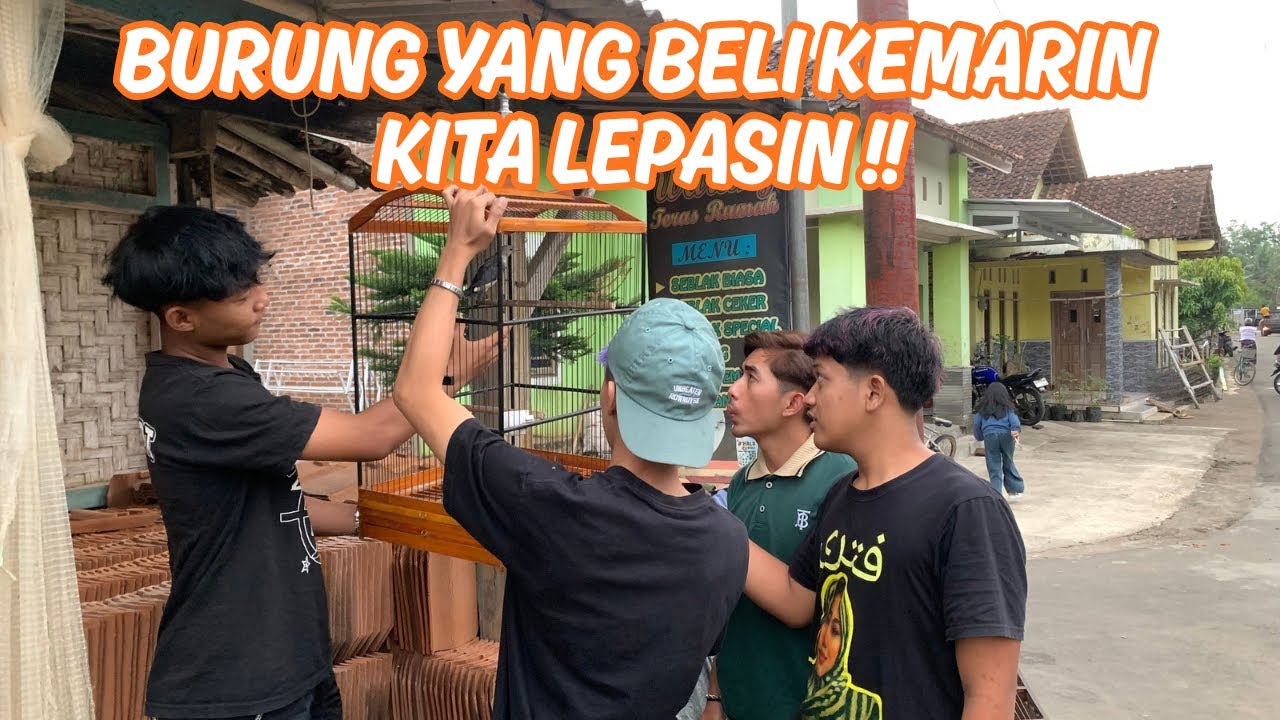 ALVIN MARAH BESAR BURUNG YANG BELI KEMARIN KITA LEPAS !!